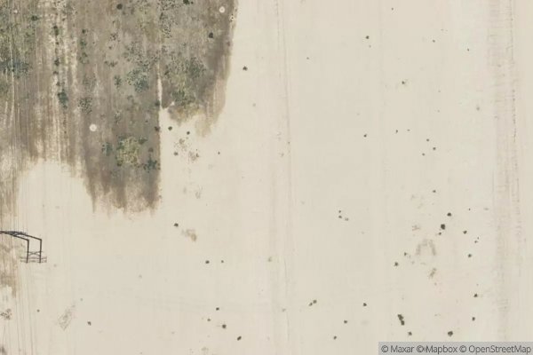 Photo of VINTON PALMS