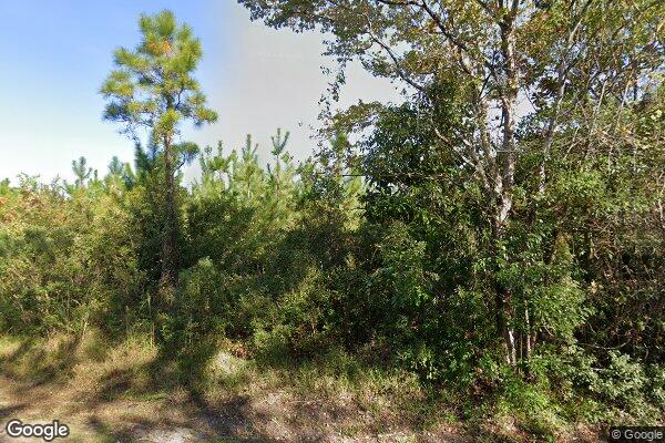 Photo of ARBORSIDE PRESERVE 2