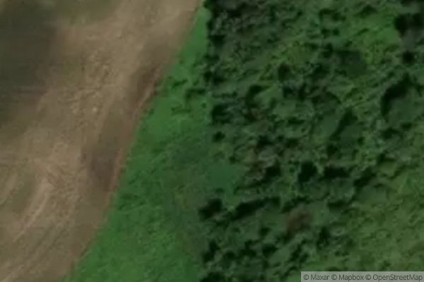 Photo of BLUEBERRY HILLS