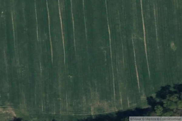 Photo of QUAKER MEADOW