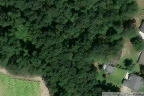 Photo of MAGNOLIA RUN