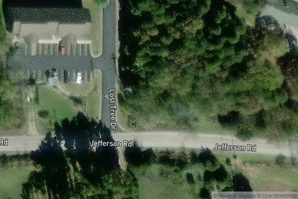 Photo of LOST TREE PHASE I