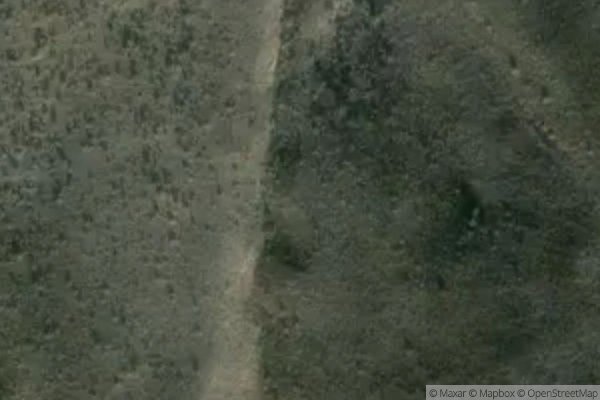 Photo of ORCHARD, THE