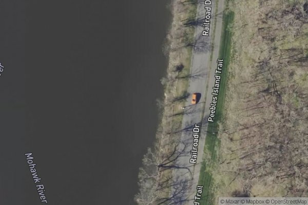 Photo of WHITE BIRCH COHOES