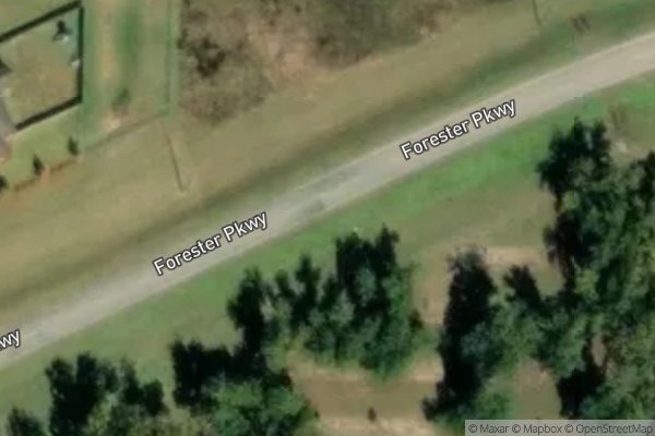 Photo of FOREST SENIOR VILLAGE
