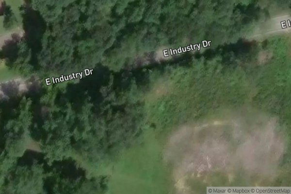 Photo of THORNROSE