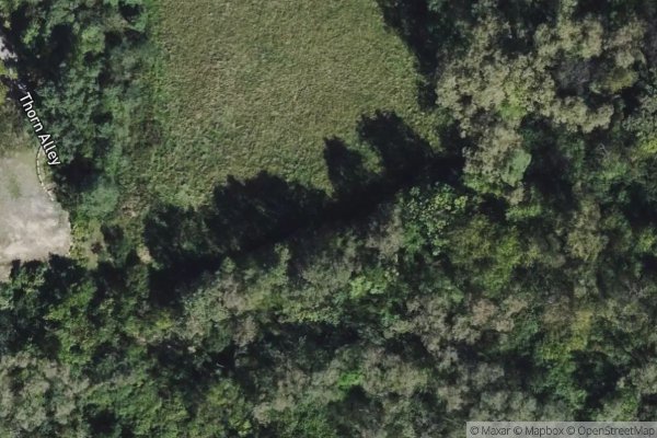 Photo of ORCHARD PARK