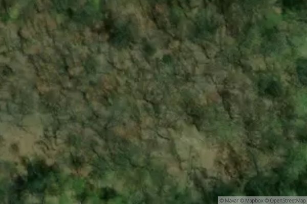 Photo of WARRENTON I MACO MANAGEMENT