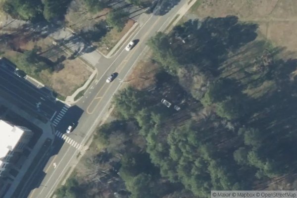 Photo of LONGLEAF TRACE