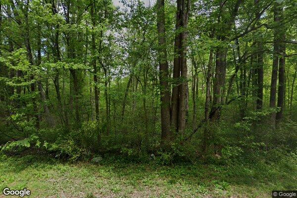Photo of Winding Hollow