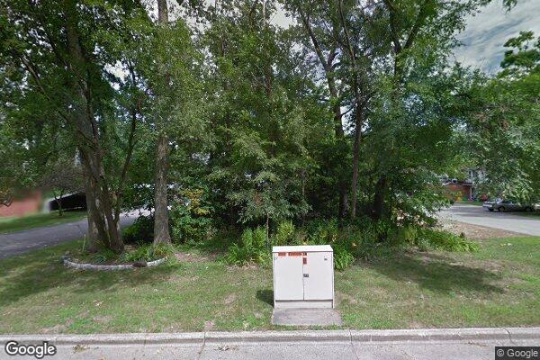 Photo of OAK FOREST