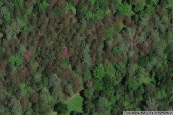 Photo of THREE SPRINGS ESTATES