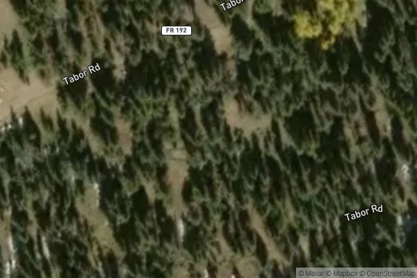 Photo of TREELINE VILLAGE
