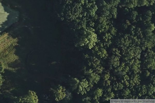 Photo of IVY RIDGE