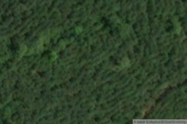 Photo of FOREST GLEN