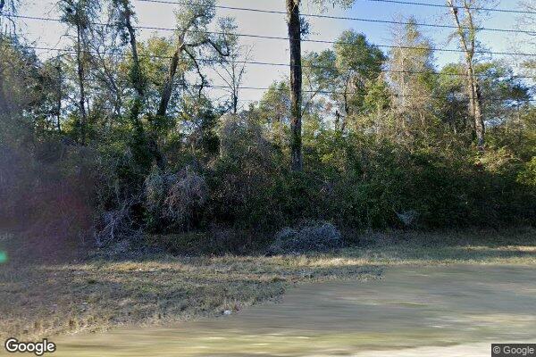 SPRINGWOOD - TALLAHASSEE