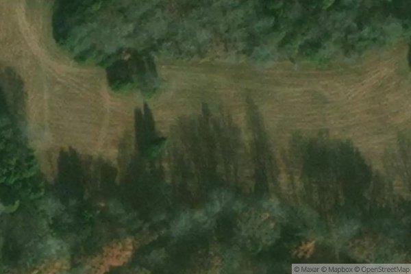 Photo of COUNTRY TRACE
