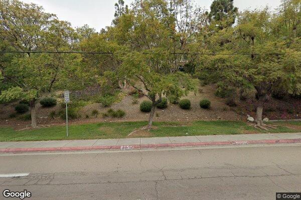 Photo of HOLLYWOOD PALMS II