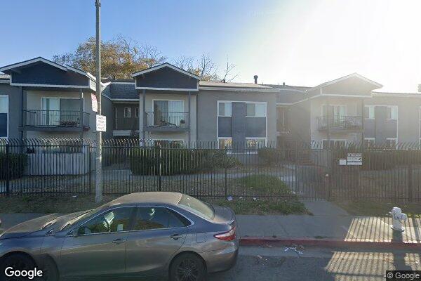 Photo of MONTEREY PINES