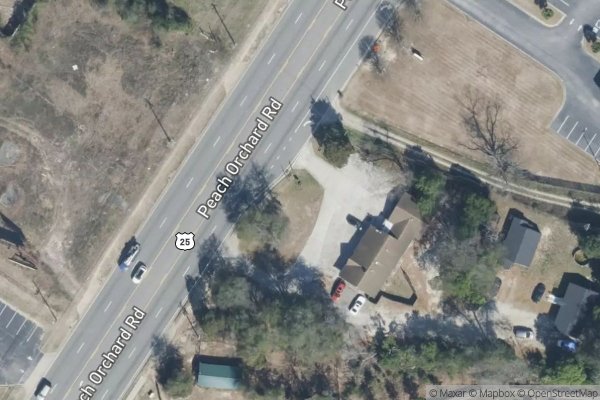 Photo of PEACH ORCHARD