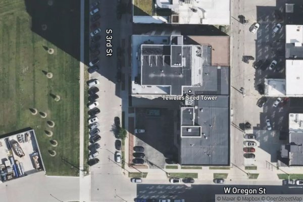 Photo of TEWELES SEED TOWERS