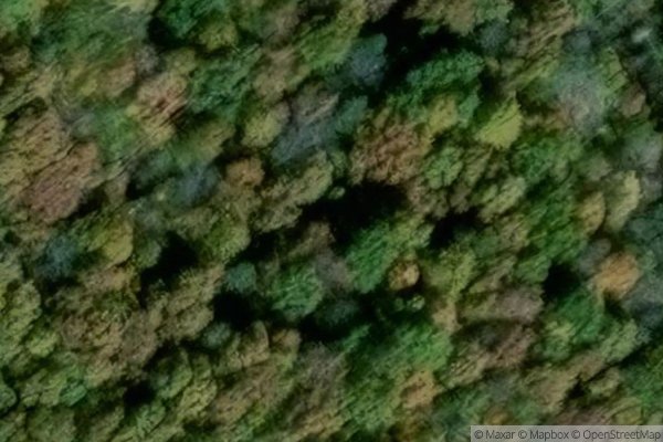 Photo of HILL MANOR