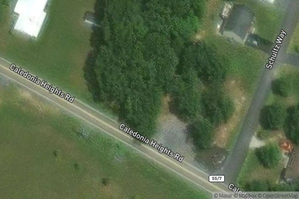 Photo of YELLOWBUD PLACE