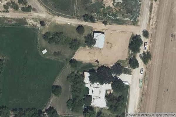 Photo of ARTCRAFT PALMS