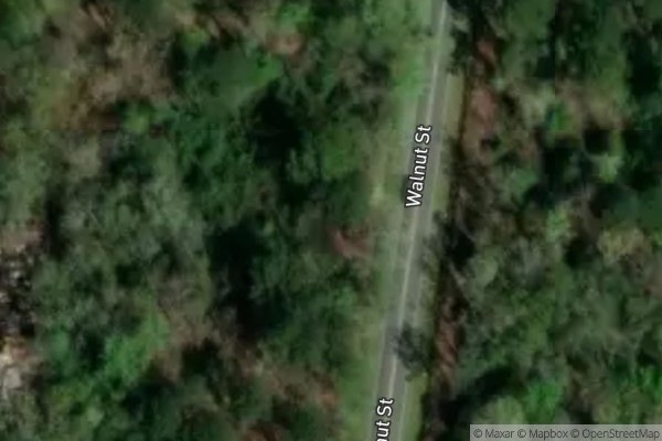 Photo of WOODFIELD II