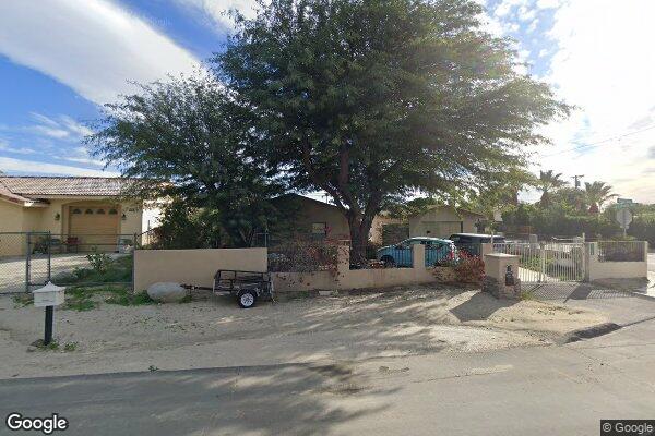 31480 ARBOL REAL