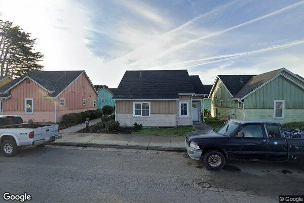 Photo of COTTAGE CYPRESS