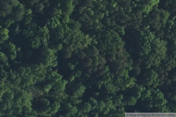 Photo of WESTBROOK TRACE