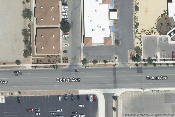 Photo of CASTNER PALMS