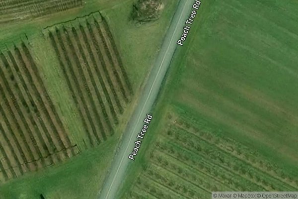 Photo of PEACH TREE ROAD