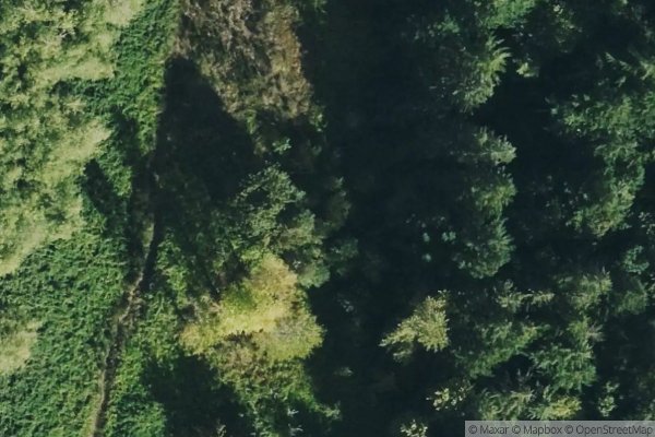 Photo of LANDING, THE
