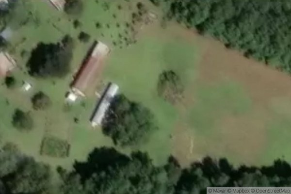 HOLLY TREE MANOR